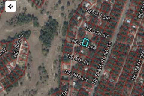 Land in Williston, Florida № 2162383 - photo 9