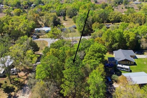 Land in Williston, Florida № 2162383 - photo 2
