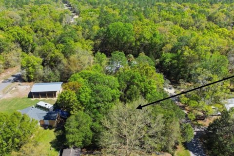 Land in Williston, Florida № 2162383