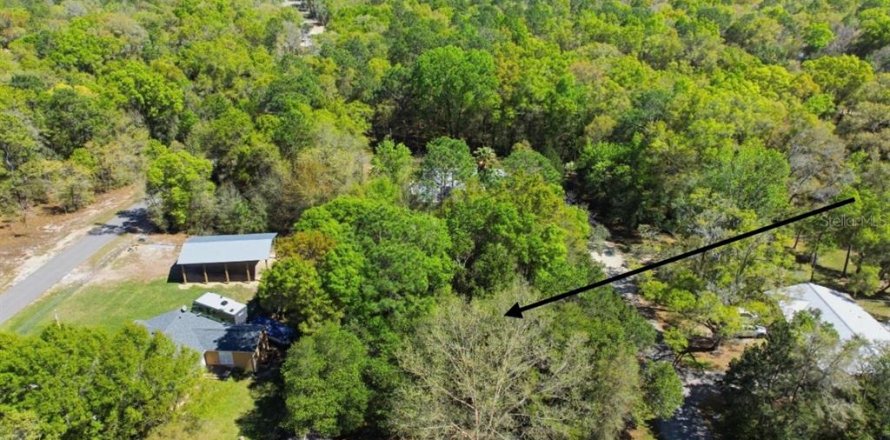 Land in Williston, Florida № 2162383