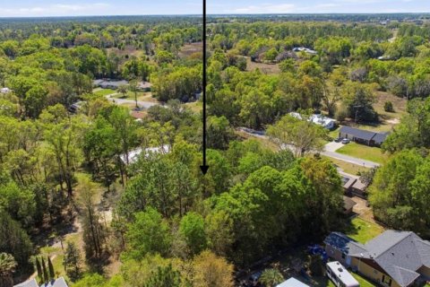 Land in Williston, Florida № 2162383 - photo 3