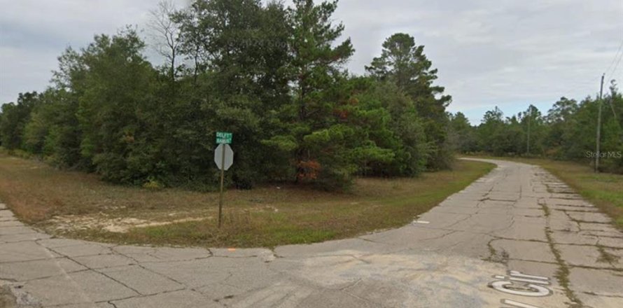 Land in Chipley, Florida № 2160454