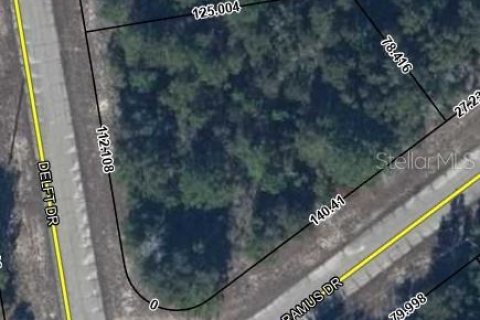 Land in Chipley, Florida № 2160454 - photo 2