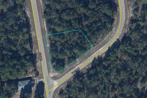 Land in Chipley, Florida № 2160454 - photo 4