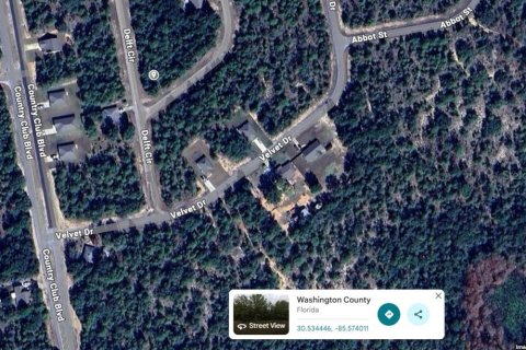 Land in Chipley, Florida № 2160454 - photo 6