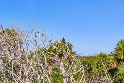 Land in Flagler Beach, Florida № 1555604 - photo 23