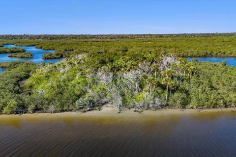 Land in Flagler Beach, Florida № 1555604 - photo 4