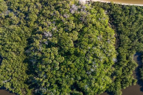 Land in Flagler Beach, Florida № 1555604 - photo 20
