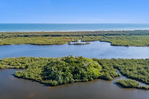 Land in Flagler Beach, Florida № 1555604 - photo 21