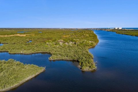 Land in Flagler Beach, Florida № 1555604 - photo 13