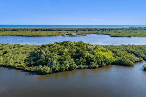 Land in Flagler Beach, Florida № 1555604 - photo 6