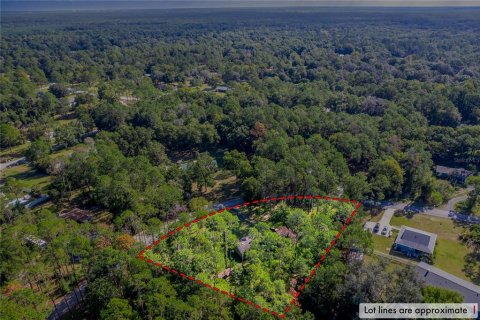 House in Gainesville, Florida 3 bedrooms, 101.45 sq.m. № 1914180 - photo 26