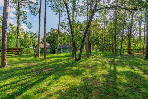 House in Gainesville, Florida 3 bedrooms, 101.45 sq.m. № 1914180 - photo 27