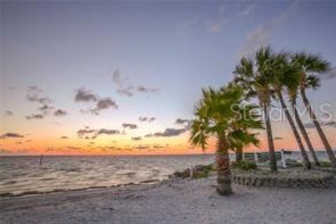 Condo in New Port Richey, Florida, 1 bedroom  № 2095447 - photo 20