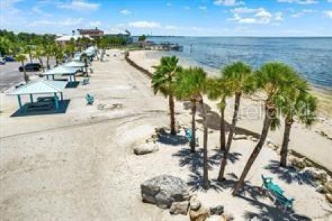 Condo in New Port Richey, Florida, 1 bedroom  № 2095447 - photo 19