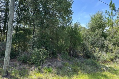 Land in Dunnellon, Florida № 2165262
