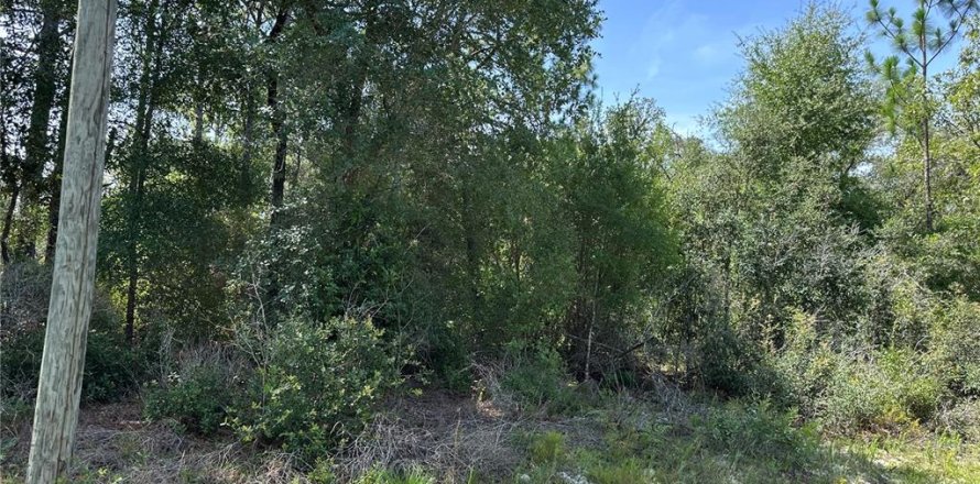 Land in Dunnellon, Florida № 2165262
