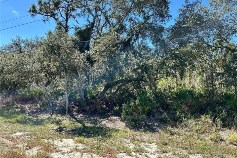 Terrain à Frostproof, Floride № 2330678