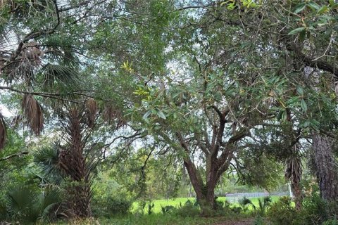 House in Cedar Key, Florida 3 bedrooms, 131.36 sq.m. № 2231895 - photo 4