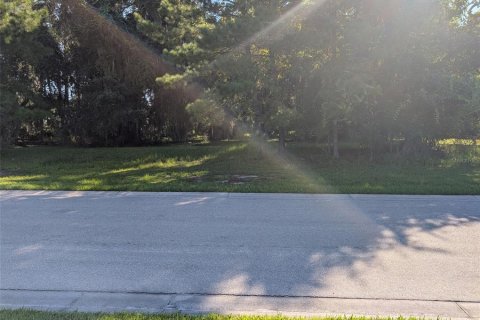 Terreno en venta en Brooksville, Florida № 1917046 - foto 2