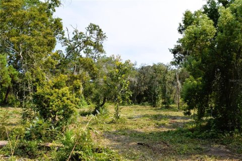 Land in Osteen, Florida № 2394138 - photo 12