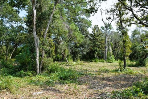 Land in Osteen, Florida № 2394138 - photo 9