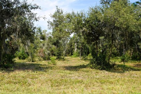 Land in Osteen, Florida № 2394138 - photo 14