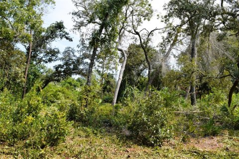 Land in Osteen, Florida № 2394138 - photo 6
