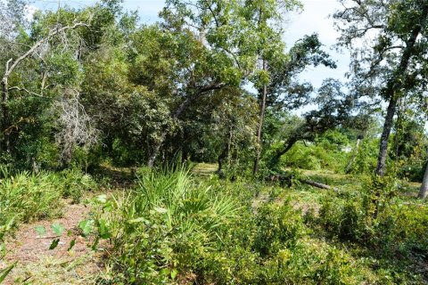 Land in Osteen, Florida № 2394138 - photo 8