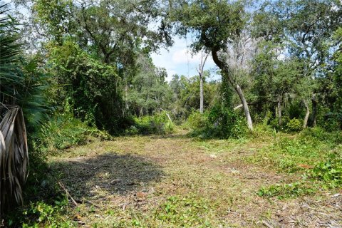 Land in Osteen, Florida № 2394138 - photo 10
