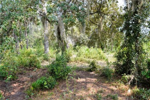 Land in Osteen, Florida № 2394138 - photo 5
