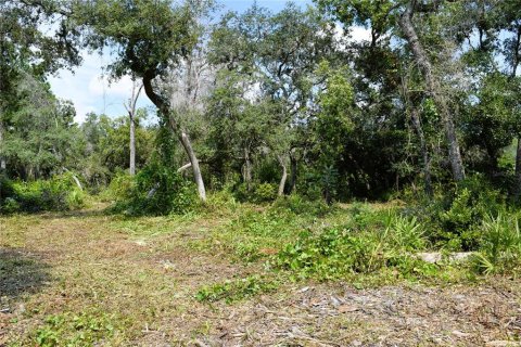 Land in Osteen, Florida № 2394138 - photo 11