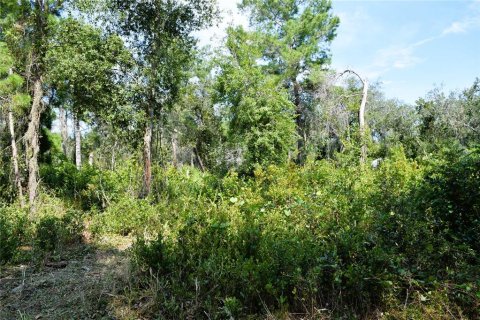 Land in Osteen, Florida № 2394138 - photo 16