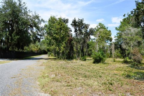 Land in Osteen, Florida № 2394138 - photo 17