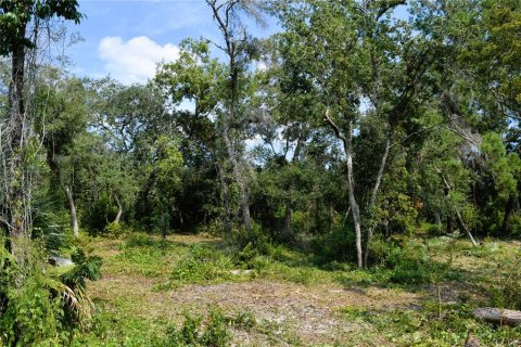 Land in Osteen, Florida № 2394138 - photo 13