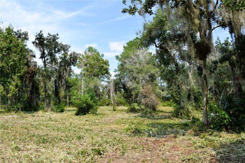 Land in Osteen, Florida № 2394138 - photo 15