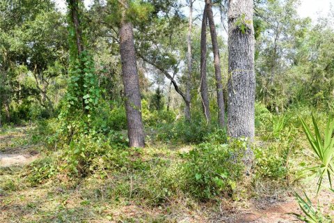 Land in Osteen, Florida № 2394138 - photo 7