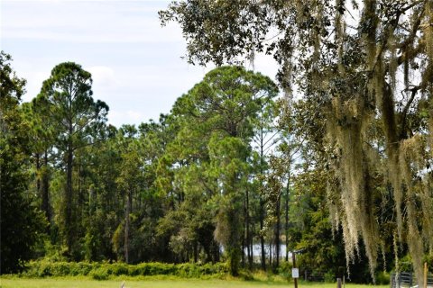 Land in Osteen, Florida № 2394138 - photo 3