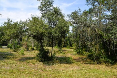 Land in Osteen, Florida № 2394138