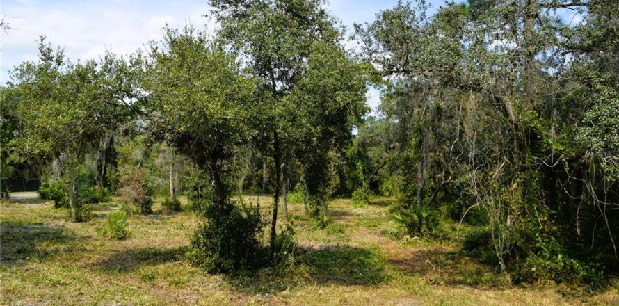 Land in Osteen, Florida № 2394138