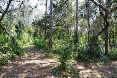 Land in Osteen, Florida № 2394138 - photo 2