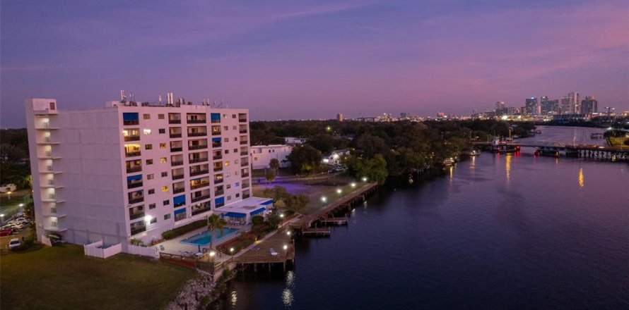 Condo à Tampa, Floride, 3 chambres  № 2342506