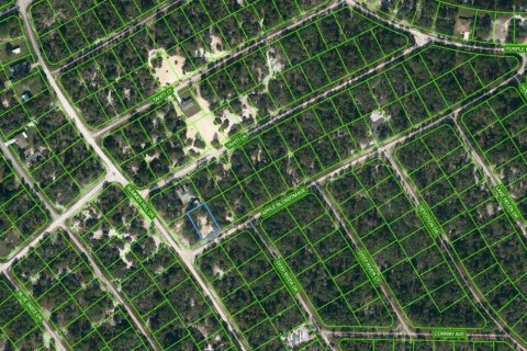 Land in Lake Placid, Florida № 2224020