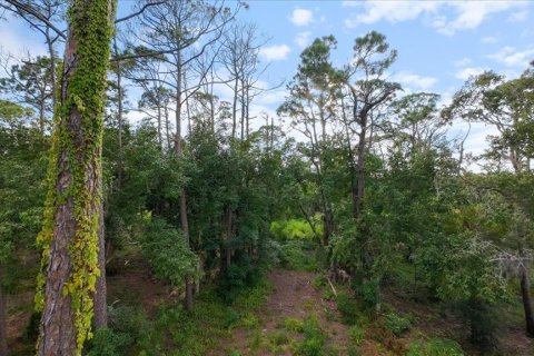 Land in Nokomis, Florida № 1719975 - photo 29