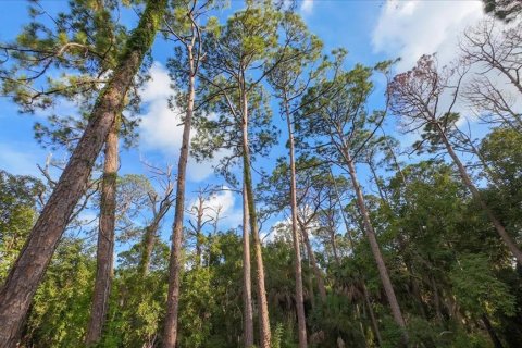 Land in Nokomis, Florida № 1719975 - photo 24