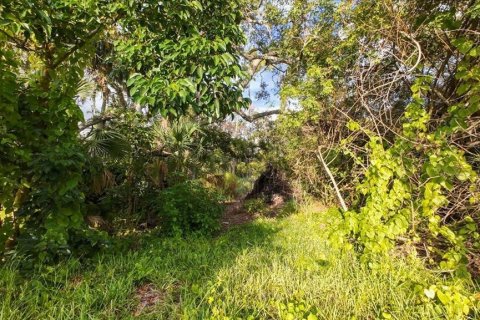 Land in Nokomis, Florida № 1719975 - photo 25