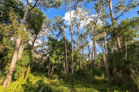 Land in Nokomis, Florida № 1719975 - photo 23