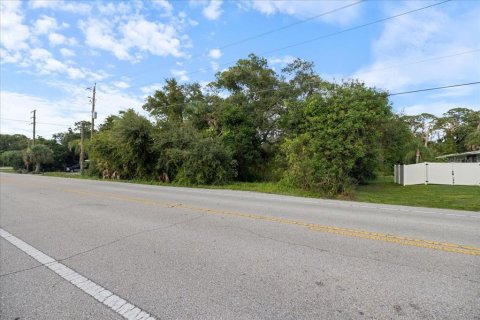 Land in Nokomis, Florida № 1719975 - photo 10