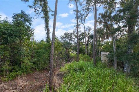 Land in Nokomis, Florida № 1719975 - photo 19