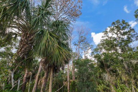 Land in Nokomis, Florida № 1719975 - photo 20